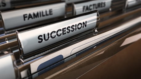Why Succession (Inevitability, Responsibility, Commitment)