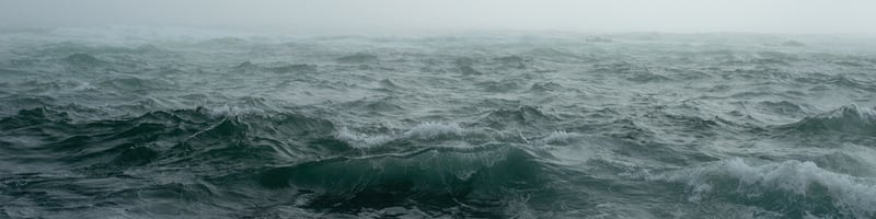 Navigating Uncertainty in Turbulent Times [NEW RESOURCE]