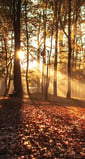 Which Exit Path is Right for You?